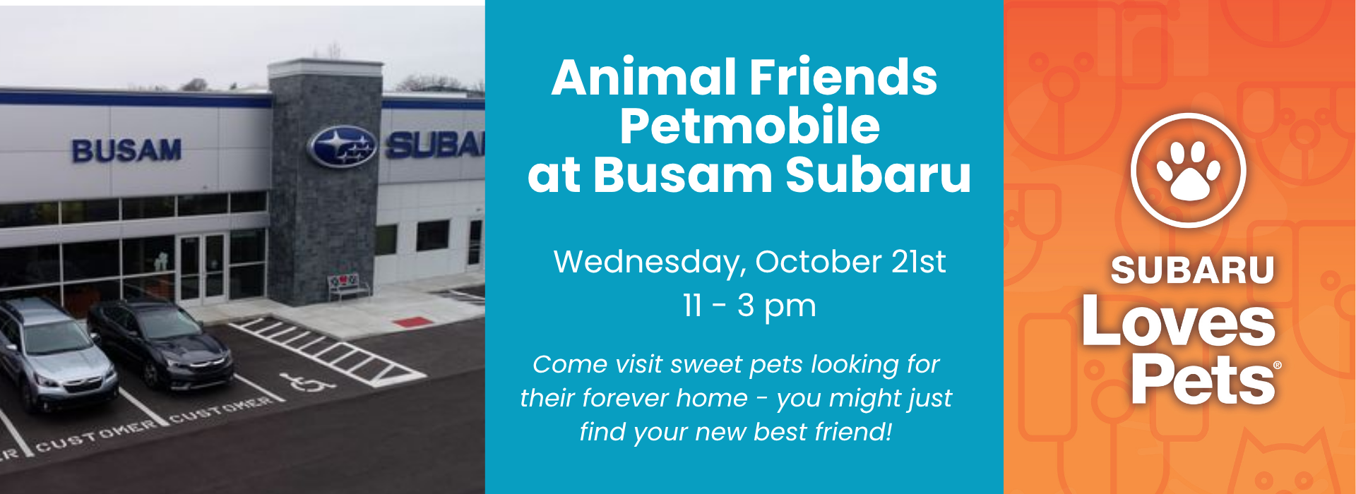 AF at subaru busam